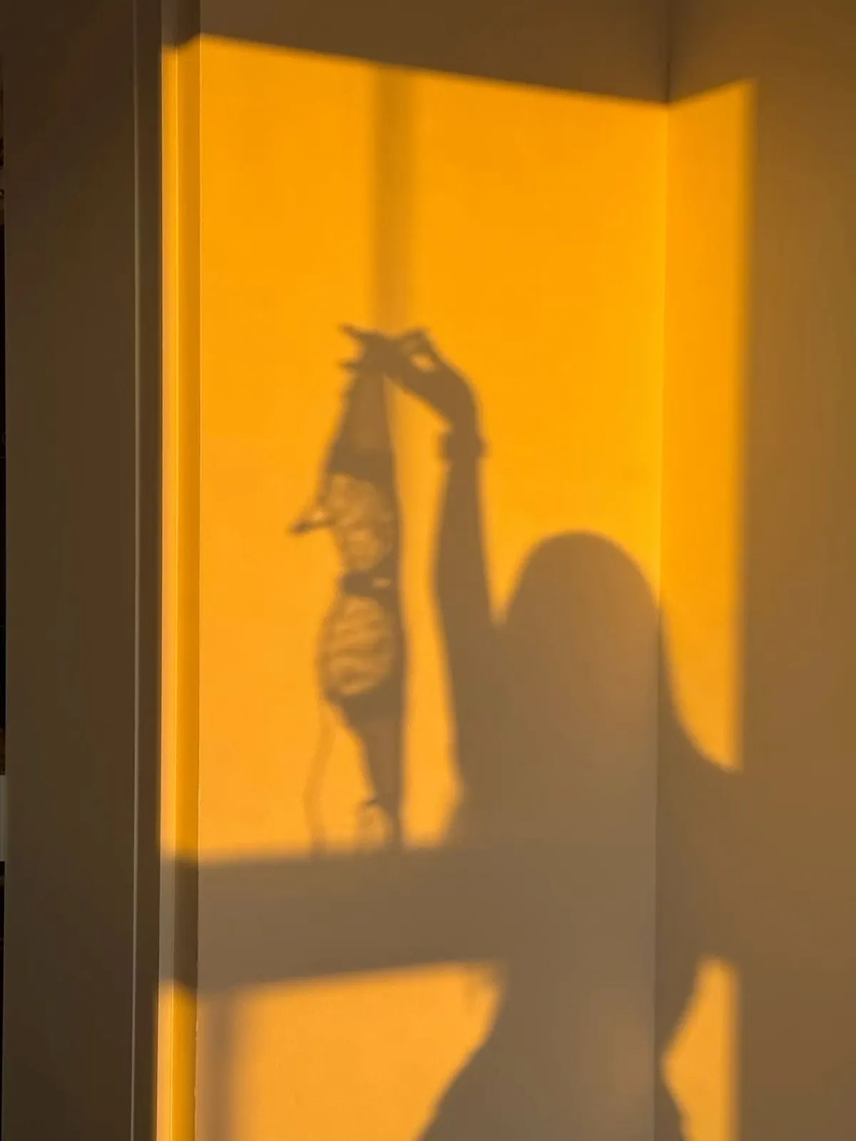 セットメニュー人気です★