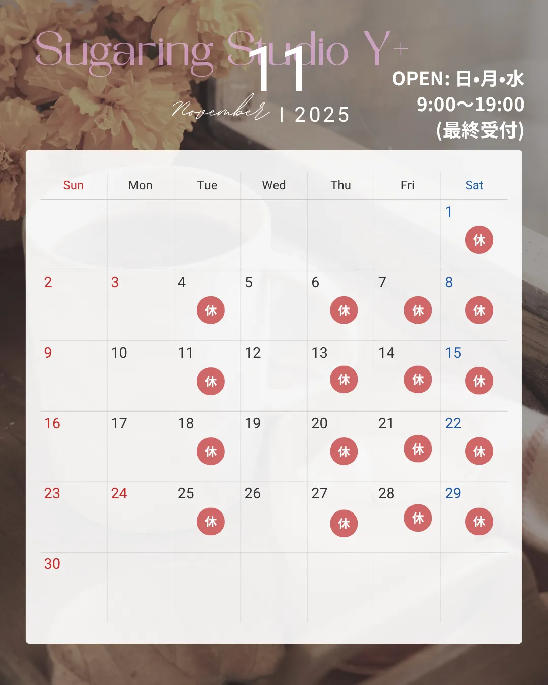 11月スケジュール🌿🫧