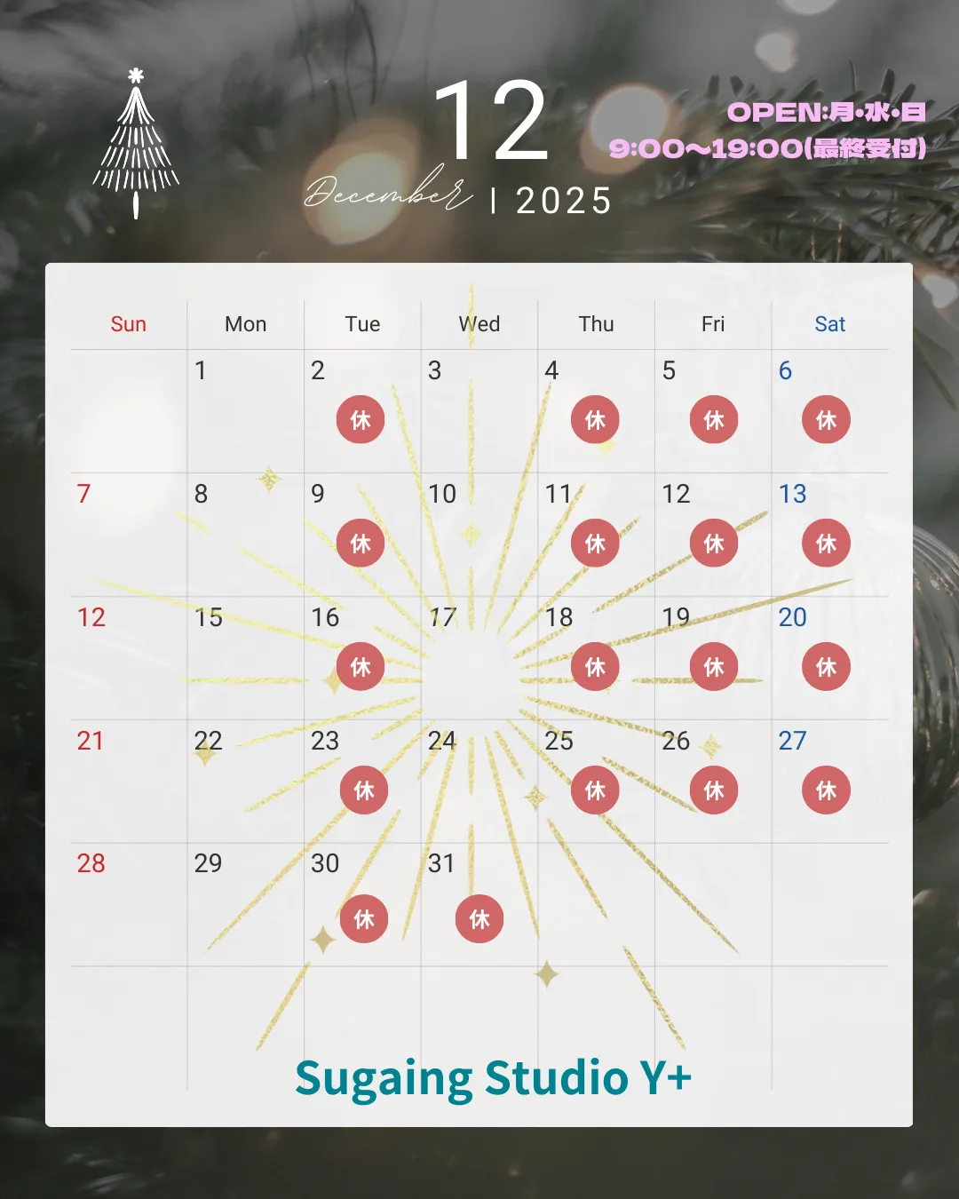 12月のスケジュール🌸